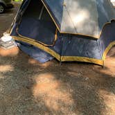 Review photo of Ohanapecosh Campground — Mount Rainier National Park by Delwayne S., June 21, 2024