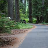 Review photo of Ohanapecosh Campground — Mount Rainier National Park by Rob B., July 15, 2024