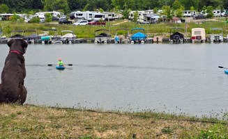 Don T.'s photo of camping with pets at Atwood Lake Park Campground near Limaville, OH
