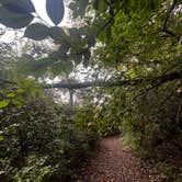 Review photo of Buck Creek State Park Campground by Tara R., September 5, 2026