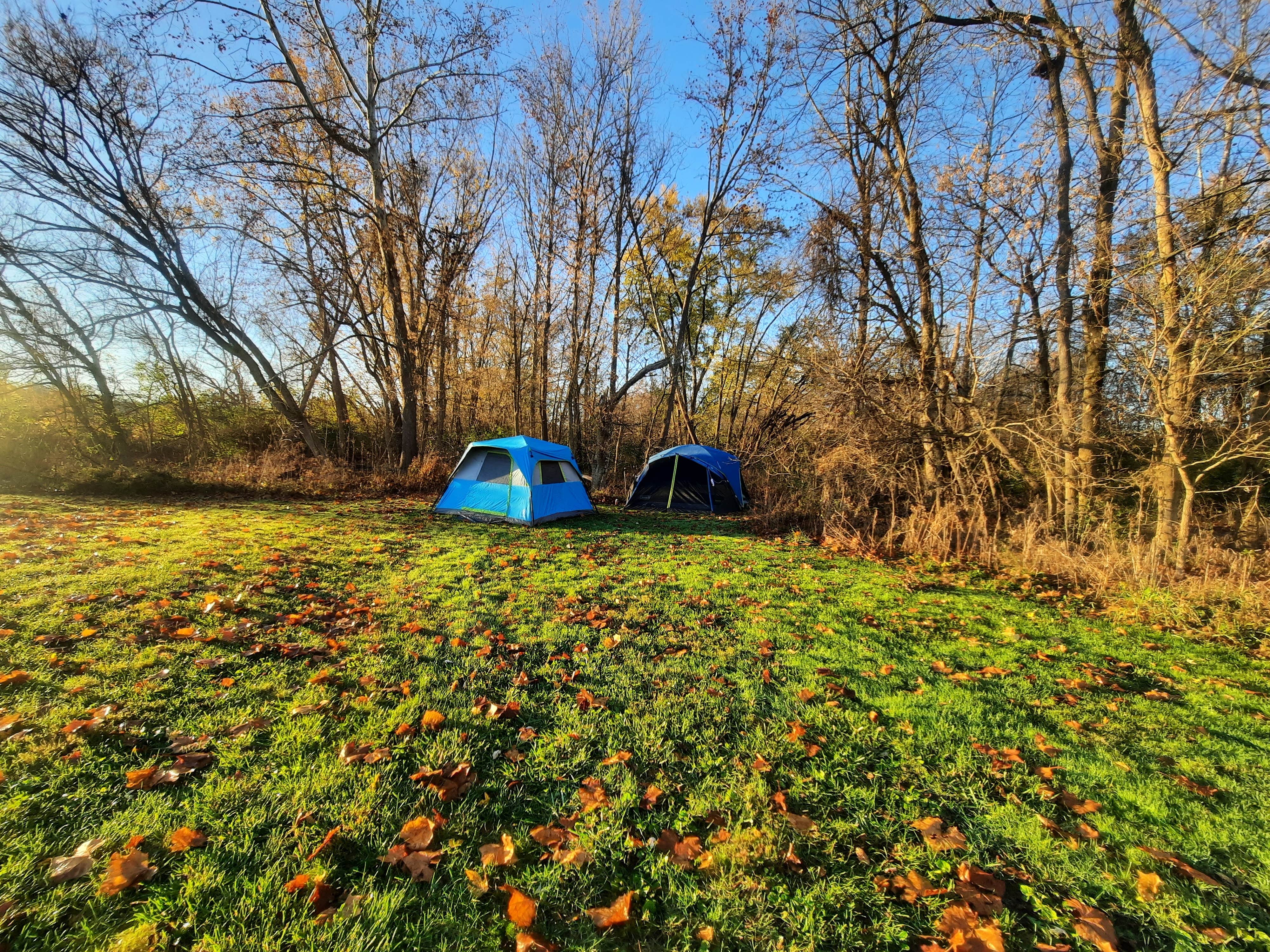 Camden H.'s photo of tent camping at Constitution County Park near Blue Ash, OH