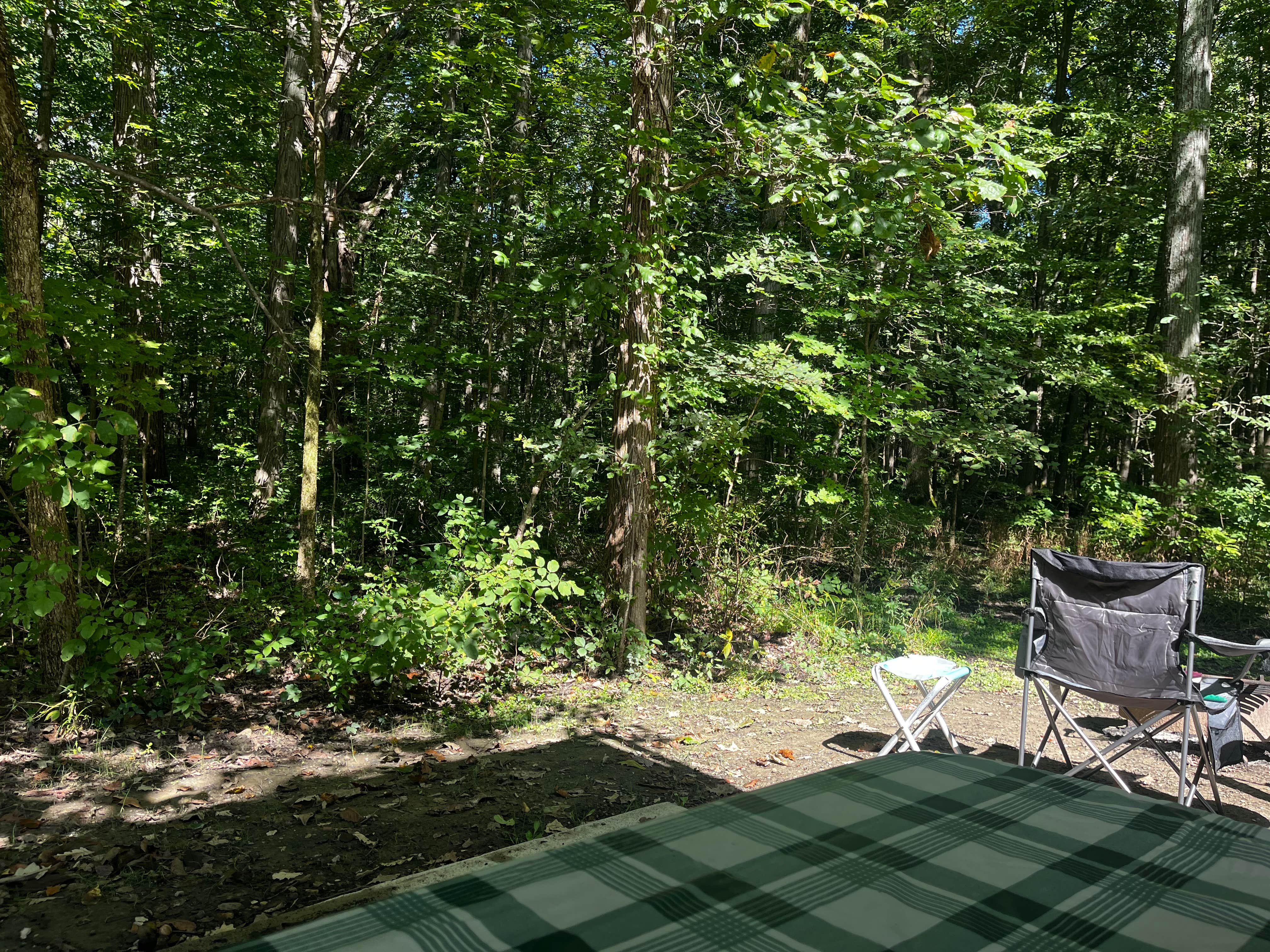 Tara R.'s photo at Delaware State Park Campground near Columbus, OH