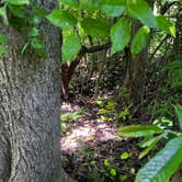 Review photo of East Fork State Park Campground by Tara R., July 25, 2026