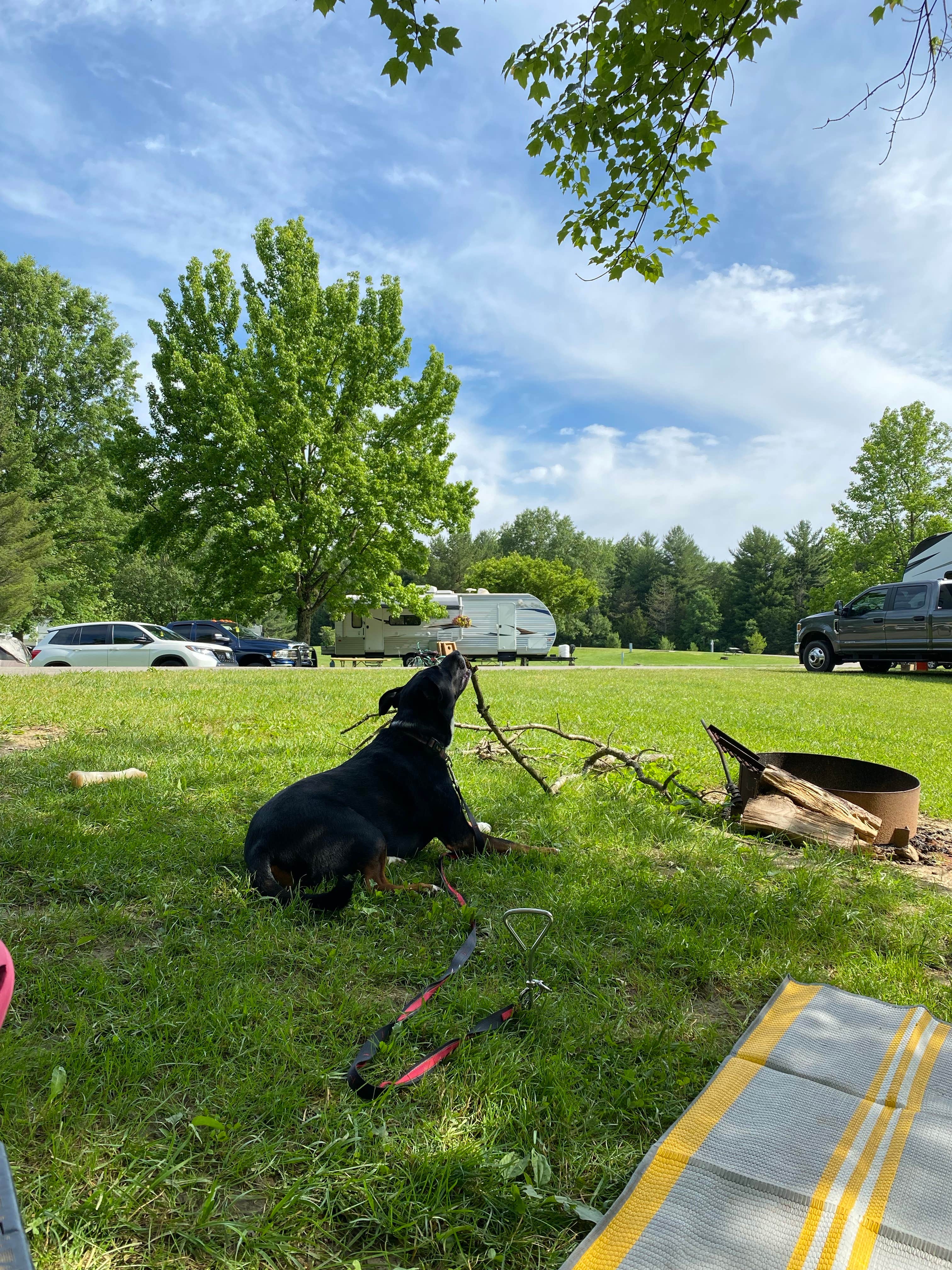 Shannon G.'s photo of camping with pets at East Fork State Park Campground near Blue Ash, OH
