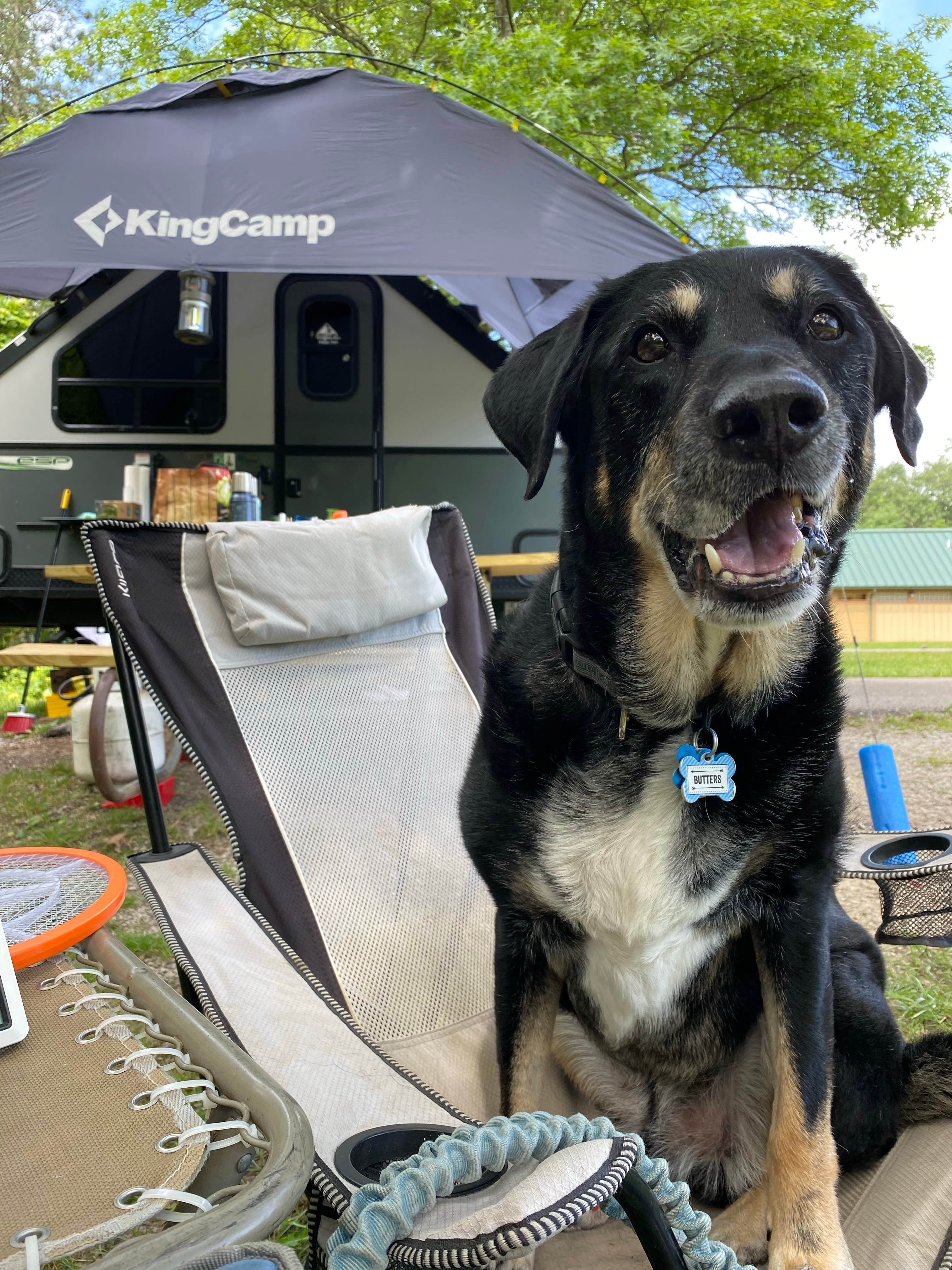 Shannon G.'s photo at East Fork State Park Campground near Bethel, OH