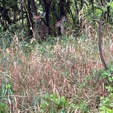 Review photo of East Harbor State Park Campground by Christopher S., September 11, 2026