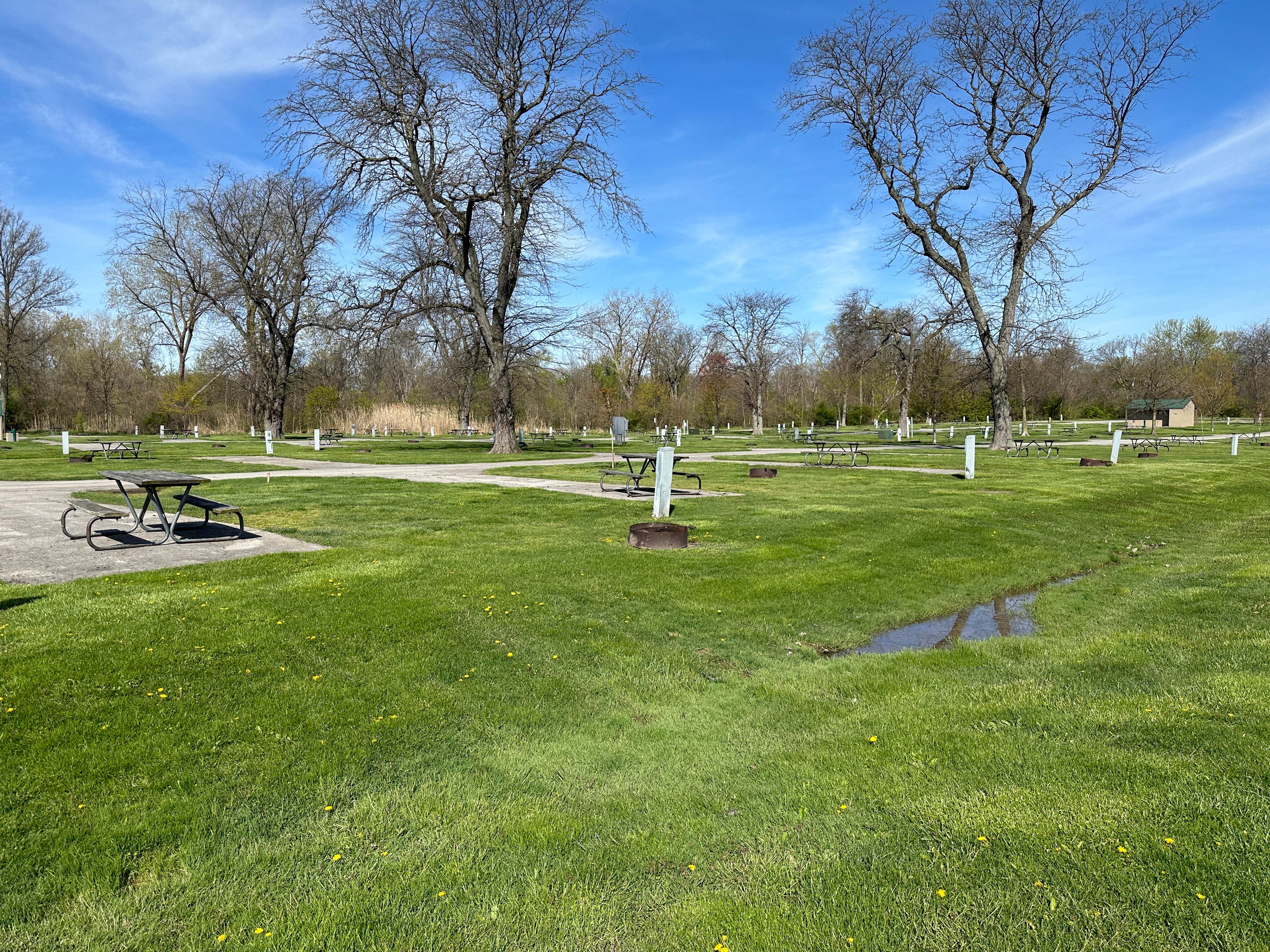 Chris A.'s photo of camping with pets at East Harbor State Park Campground near Lorain, OH