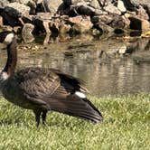 Review photo of East Harbor State Park Campground by Shawn , September 12, 2025