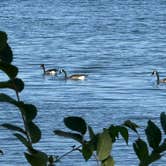 Review photo of East Harbor State Park Campground by Shawn , September 12, 2025