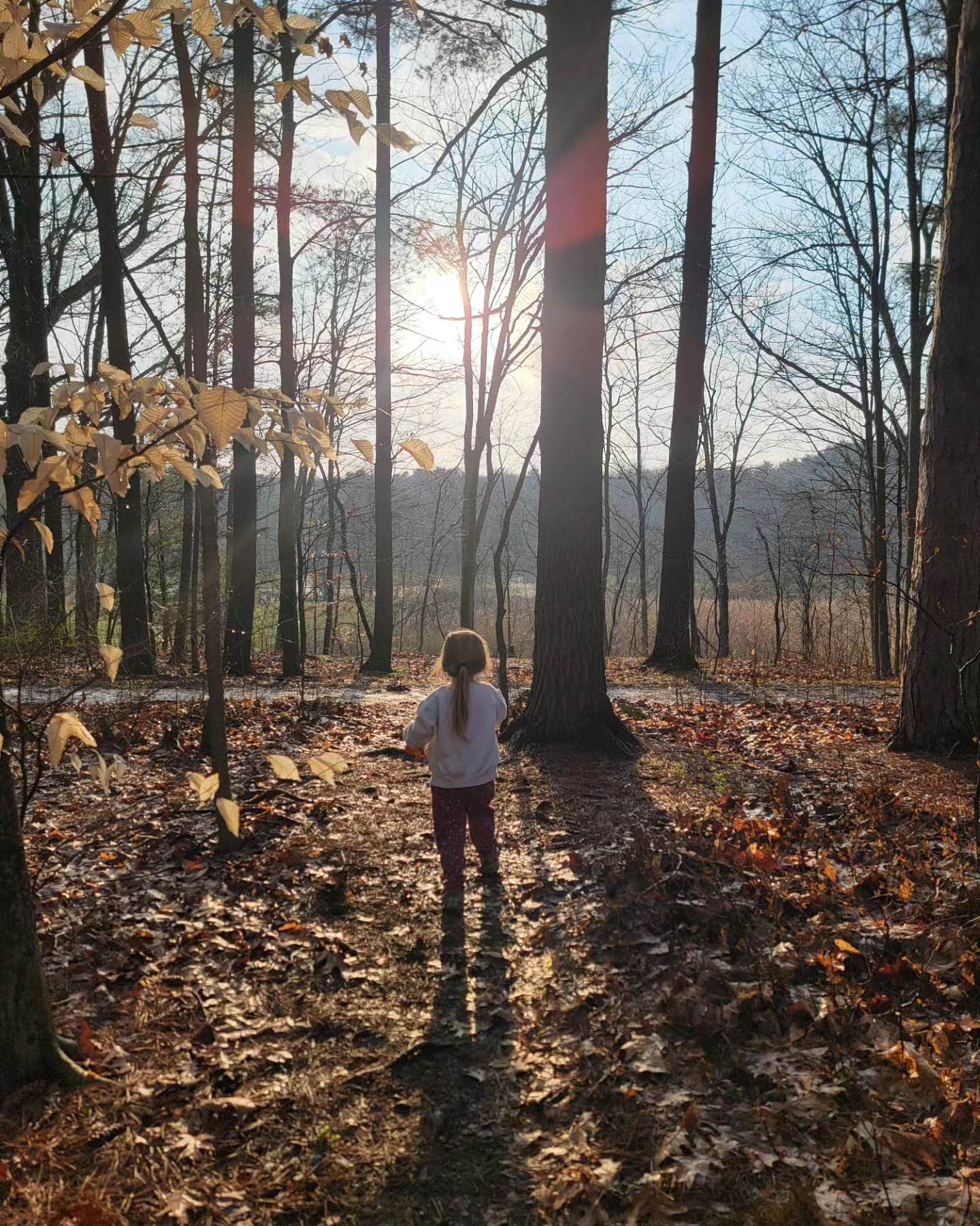 Karel N.'s photo of camping with pets at Findley State Park Campground near Parma Heights, OH