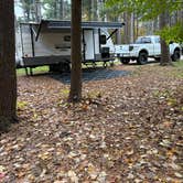 Review photo of Findley State Park Campground by Jessica S., November 6, 2025