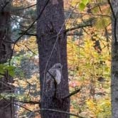 Review photo of Findley State Park Campground by Jessica S., November 6, 2025