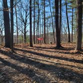 Review photo of Findley State Park Campground by Karel N., April 2, 2024