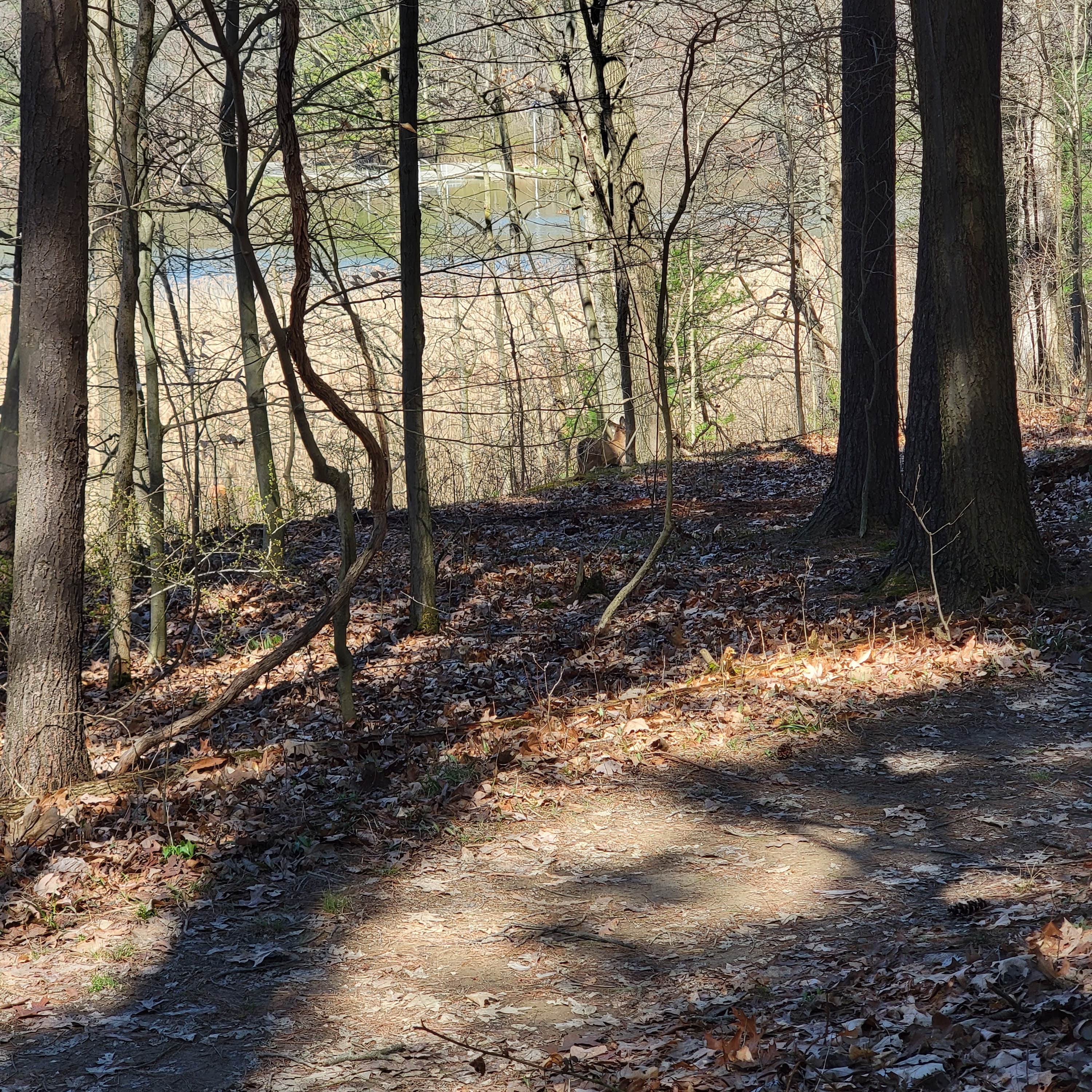 Findley State Park Campground | Wellington, Ohio