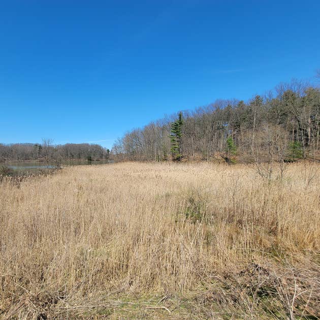 Findley State Park Campground | Wellington, OH