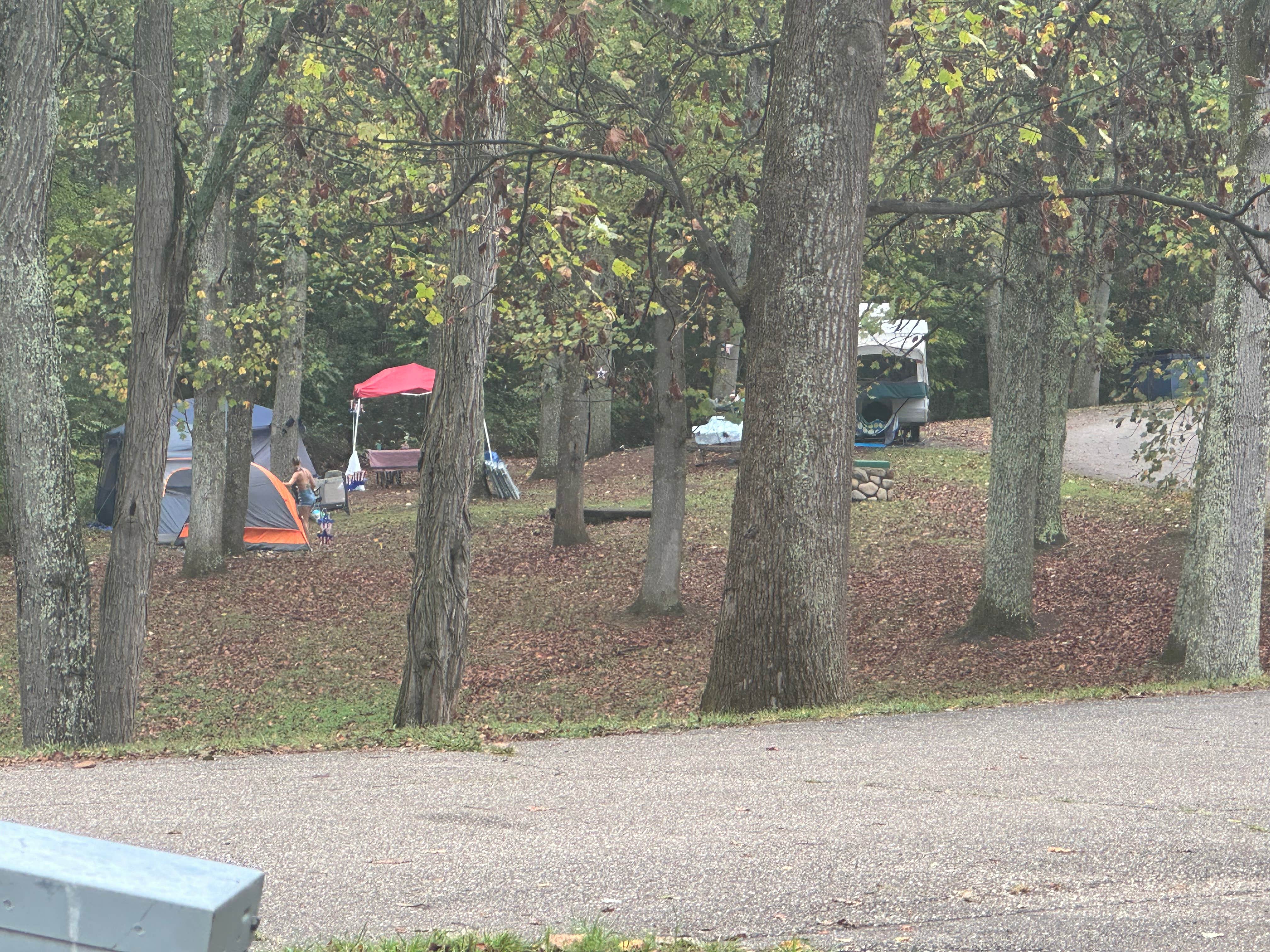 James P.'s photo at Forked Run State Park Campground near Cutler, OH
