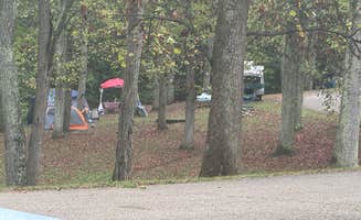 James P.'s photo at Forked Run State Park Campground near Cairo, WV