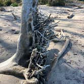 Review photo of Geneva State Park Campground by Jennifer G., December 5, 2025