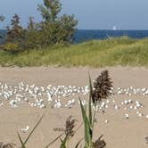 Review photo of Geneva State Park Campground by Shawn , September 14, 2025