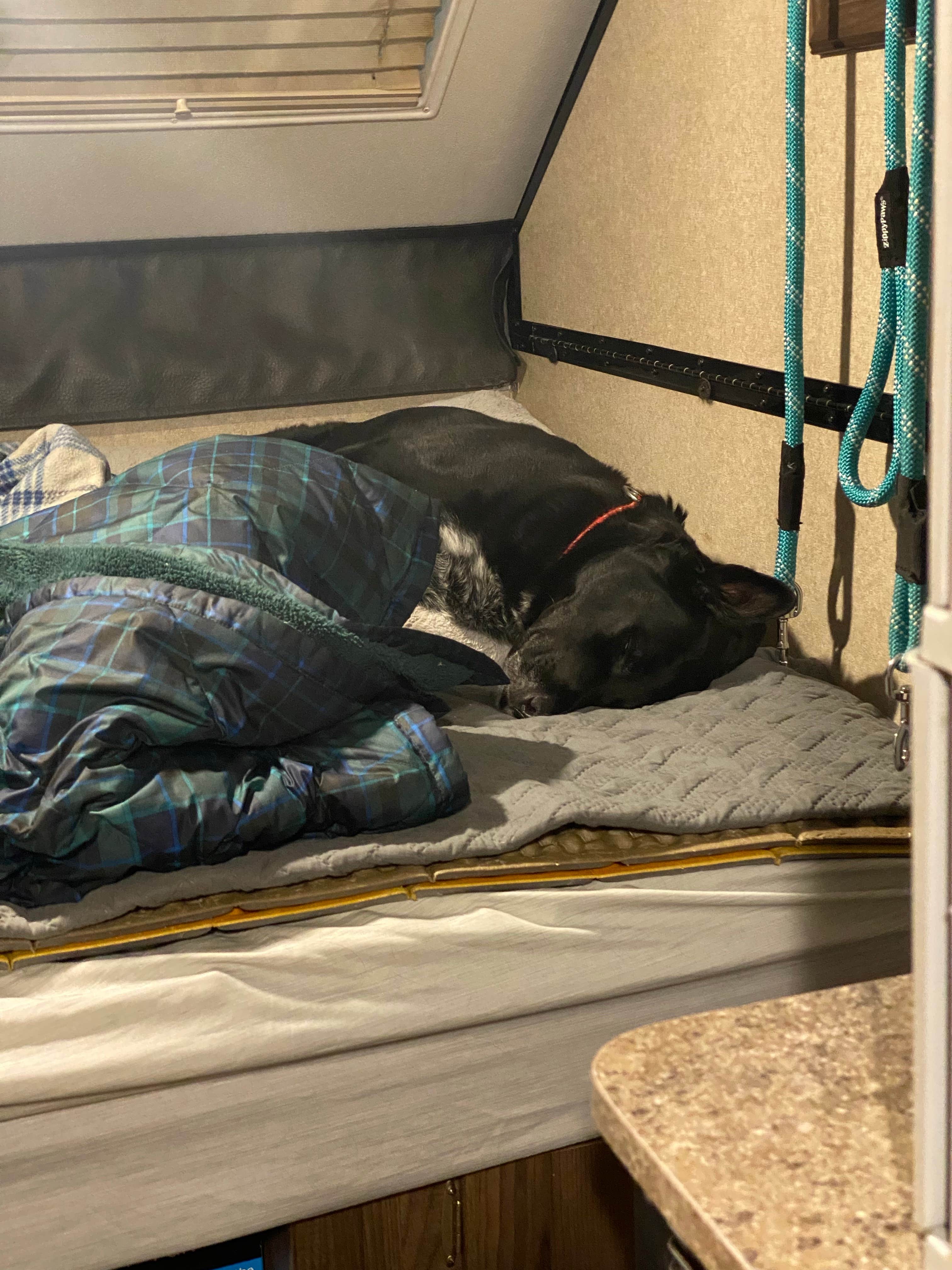 Shannon G.'s photo of glamping accommodations at Grand Lake St. Marys State Park — Grand Lake St Marys State Park near Union City, OH