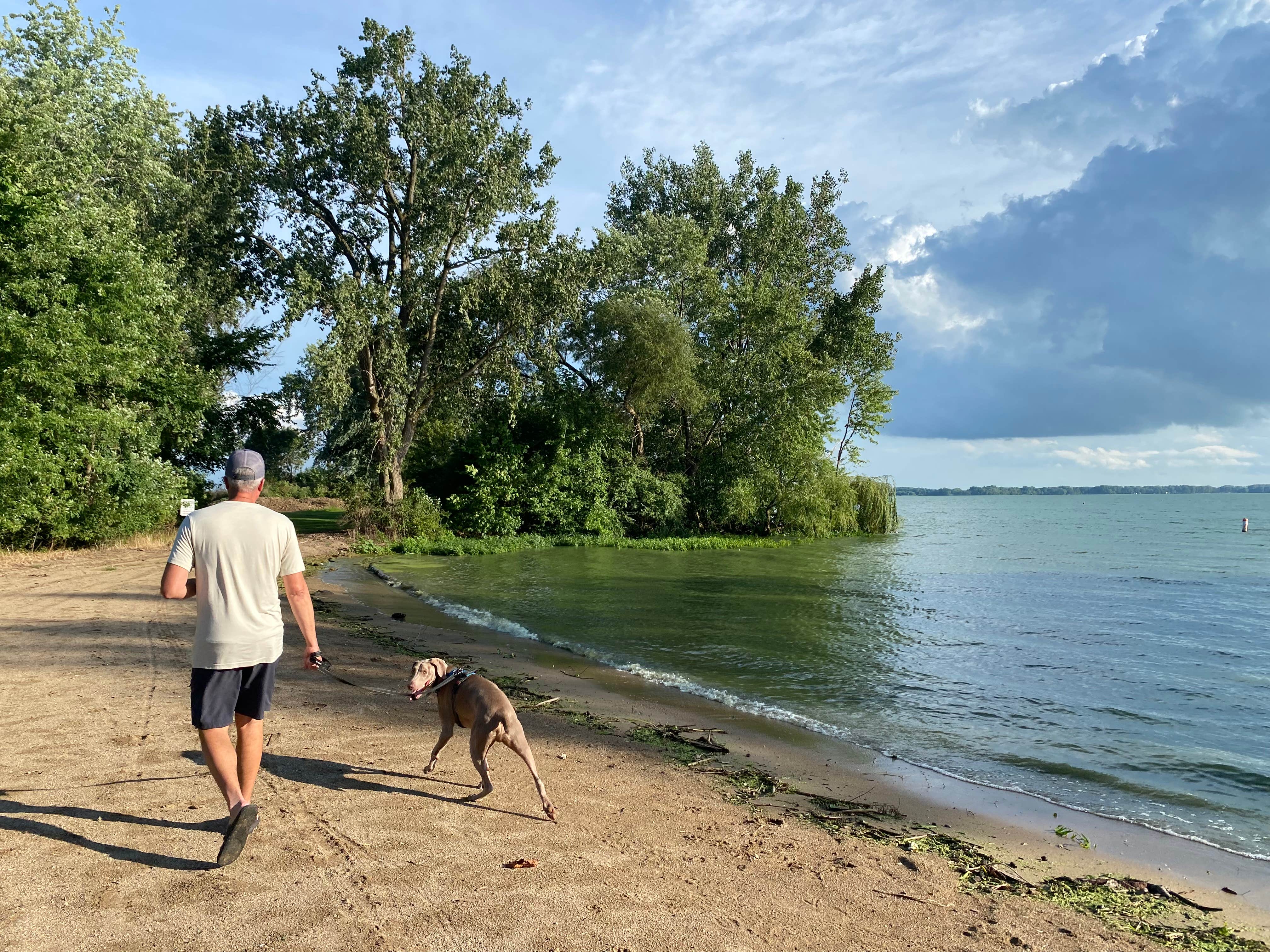 Julie F.'s photo of camping with pets at Grand Lake St. Marys State Park Campground near Hartford City, IN