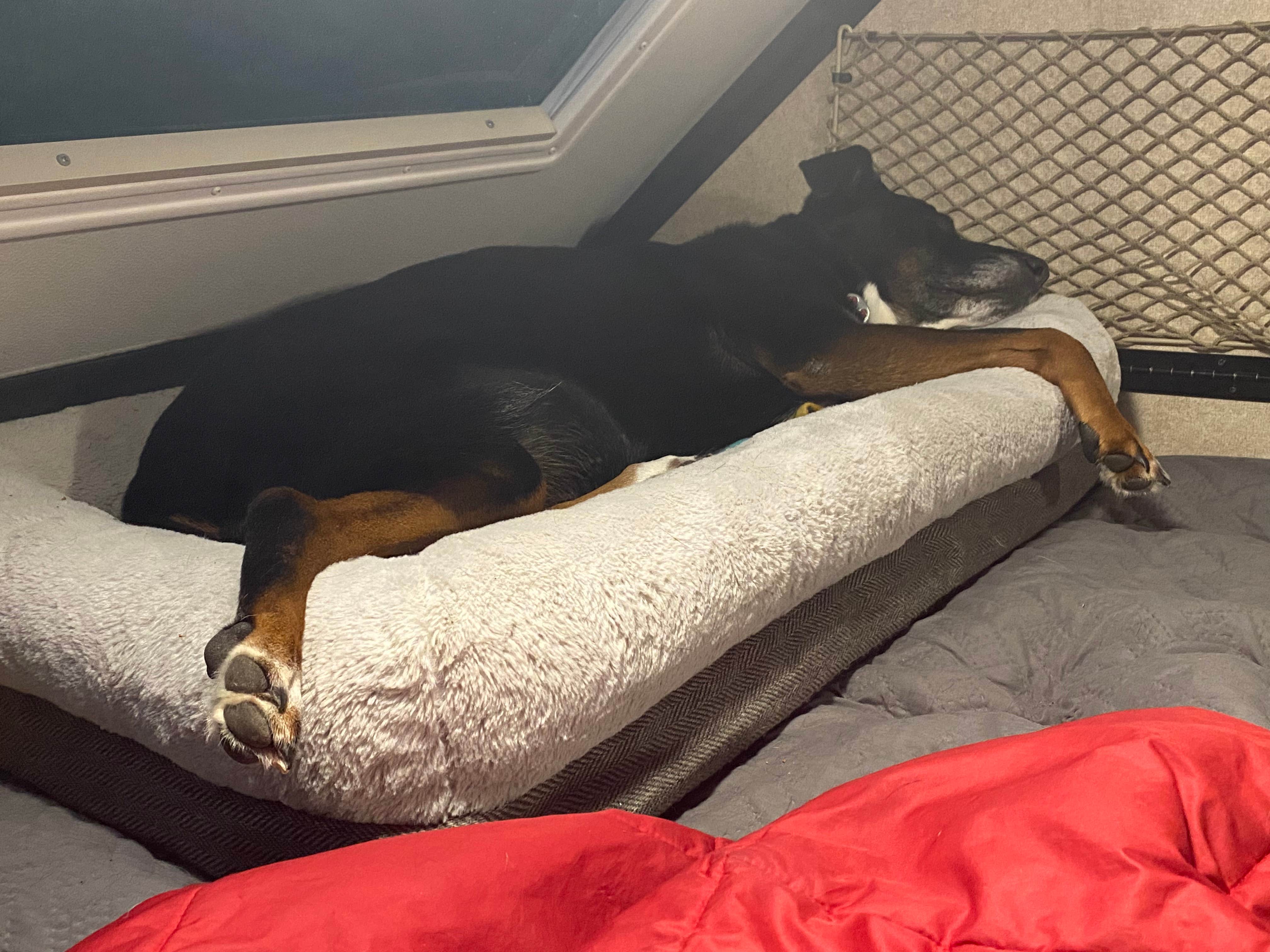 Shannon G.'s photo of glamping accommodations at Grand Lake St. Marys State Park Campground near Fort Loramie, OH
