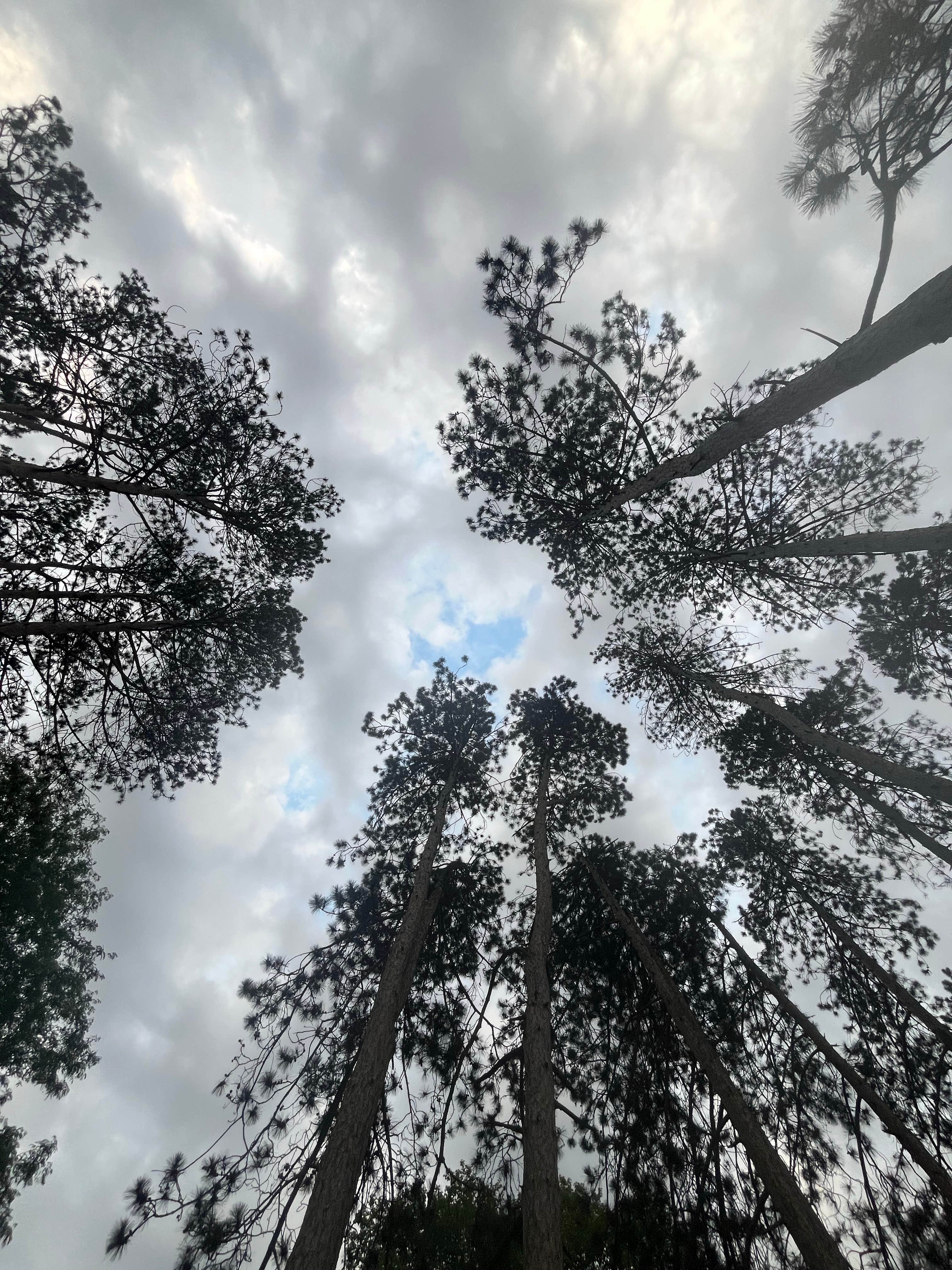 Camper-submitted photo at Guilford Lake State Park Campground near Carrollton, OH