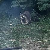 Review photo of Hueston Woods State Park Campground by Tara R., July 25, 2026