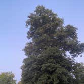 Review photo of Indian Lake State Park Campground by Shannon G., September 3, 2025