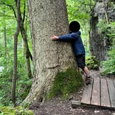 Review photo of John Bryan State Park Campground by Beth , October 14, 2024