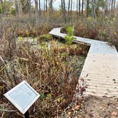 Review photo of Kelleys Island State Park Campground by Tyler S., January 8, 2025