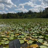 Review photo of Kiser Lake State Park Campground by Tara R., August 30, 2026