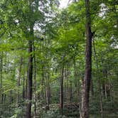 Review photo of Kiser Lake State Park Campground by Tara R., August 30, 2026
