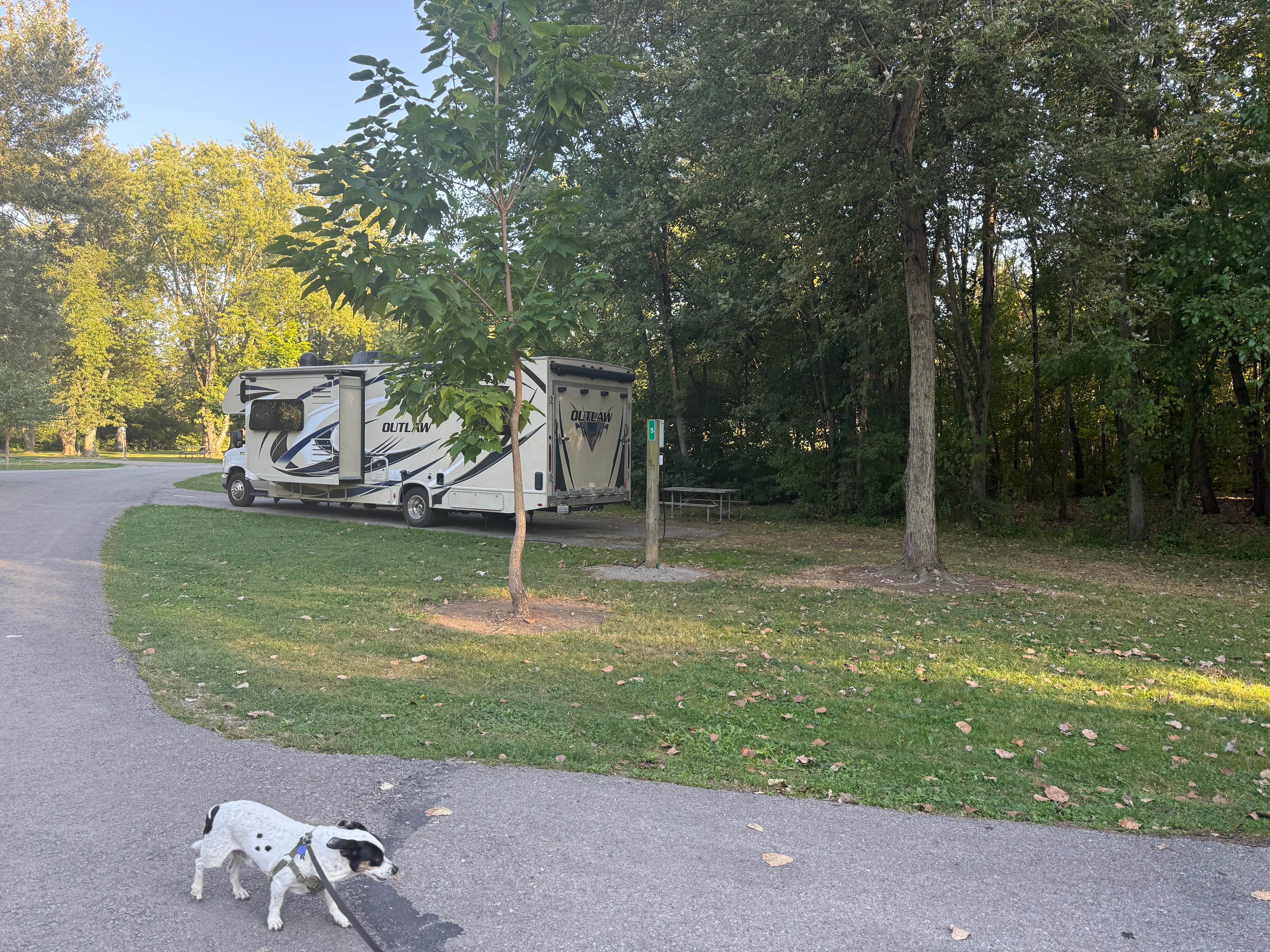 Shawn's photo of camping with pets at Mary Jane Thurston State Park Campground near Millbury, OH