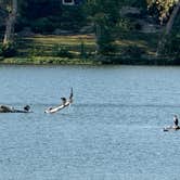 Review photo of Mary Jane Thurston State Park Campground by Shawn , September 11, 2025