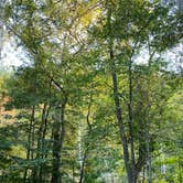 Review photo of Mohican State Park Campground by Gabrielle K., October 4, 2023