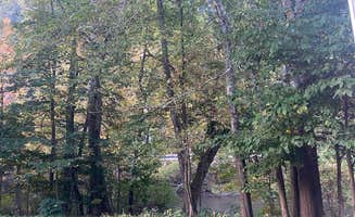 Gabrielle K.'s photo at Mohican State Park Campground near Chesterville, OH
