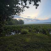 Review photo of Mosquito Lake State Park Campground by Kalee K., August 3, 2026