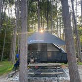 Review photo of Mt Gilead State Park Campground by Shannon G., September 3, 2025