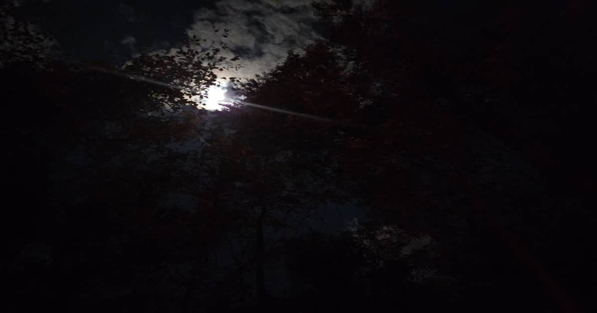 Riverbend Recreation Area Campground