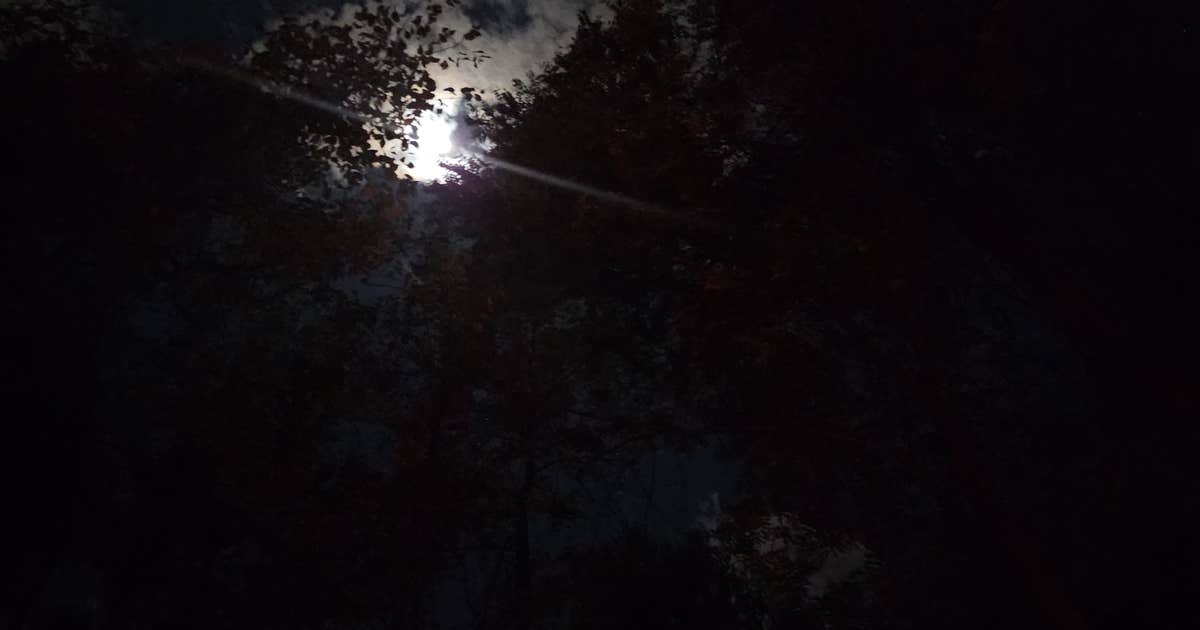 Riverbend Recreation Area Campground