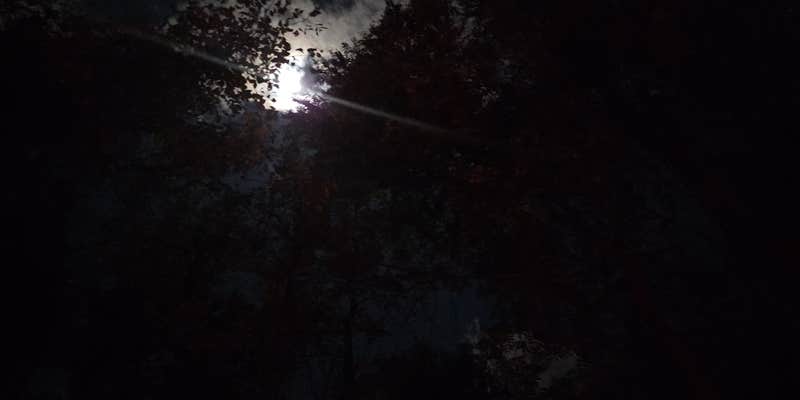 Camper submitted image from Riverbend Recreation Area Campground