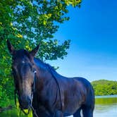 Review photo of Salt Fork State Park Campground by Janessa S., August 11, 2024