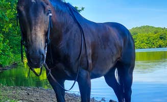 Janessa S.'s photo of camping with a horse at Salt Fork State Park Campground near Caldwell, OH
