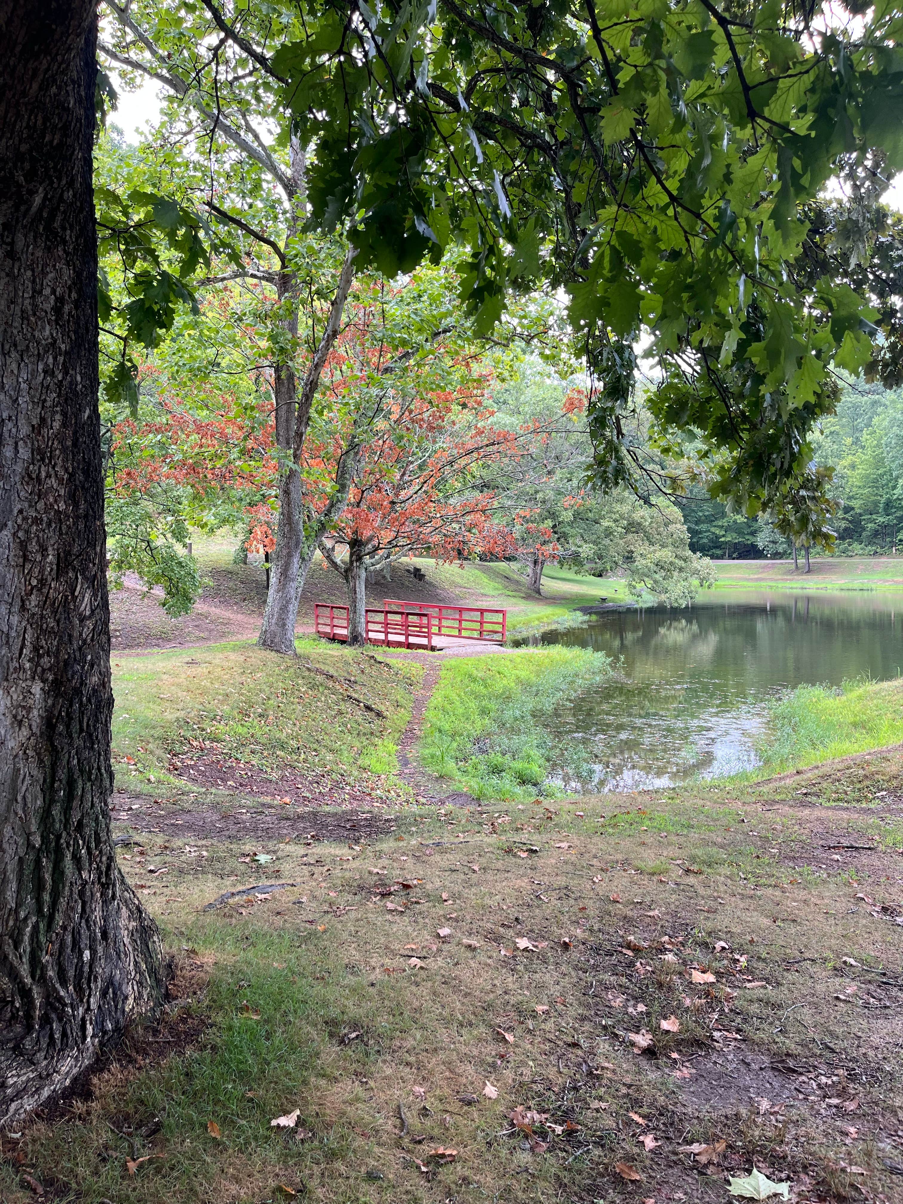 Camper submitted image from Scioto Trail State Park Campground - 3