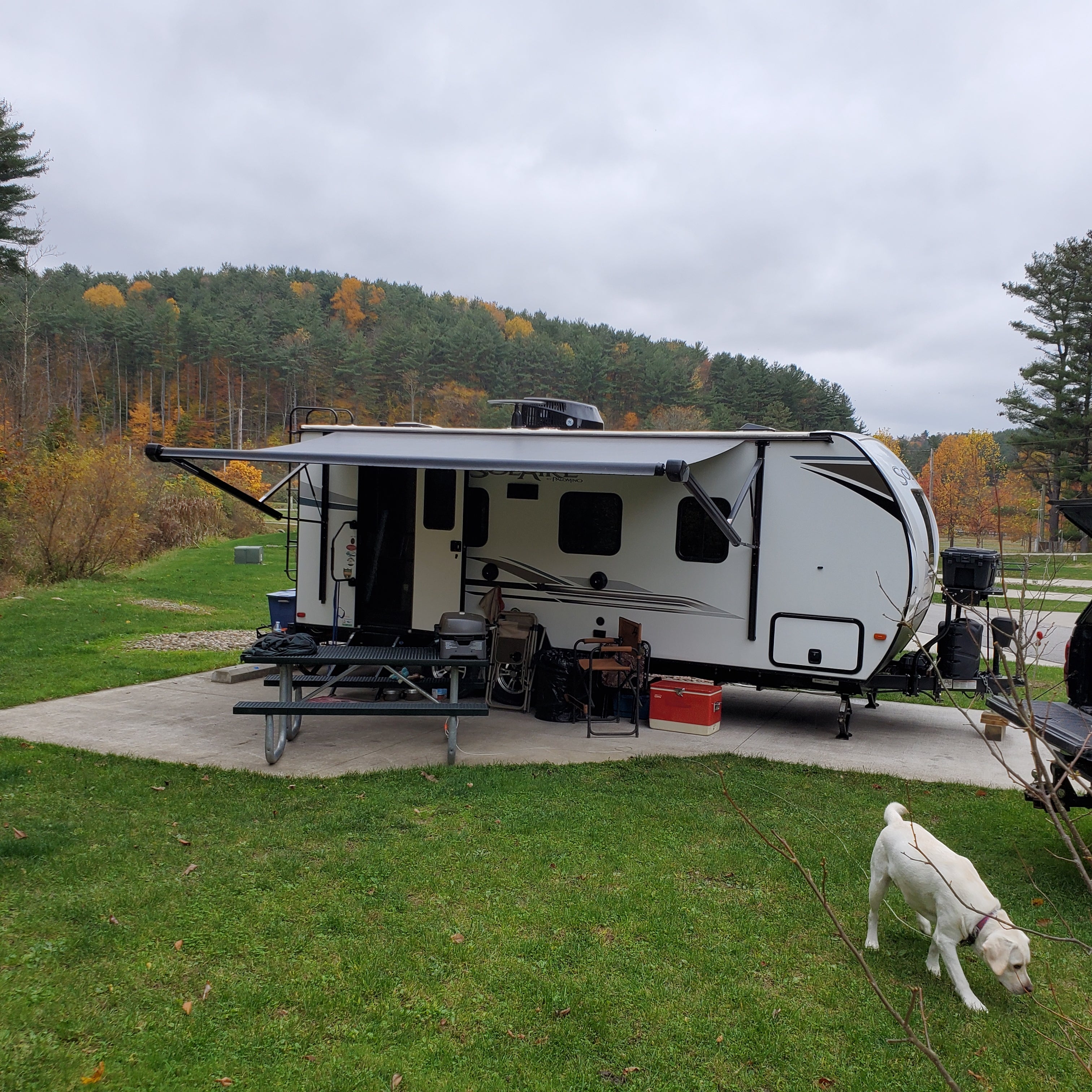 Camper submitted image from Tappan Lake Park Campground - 3