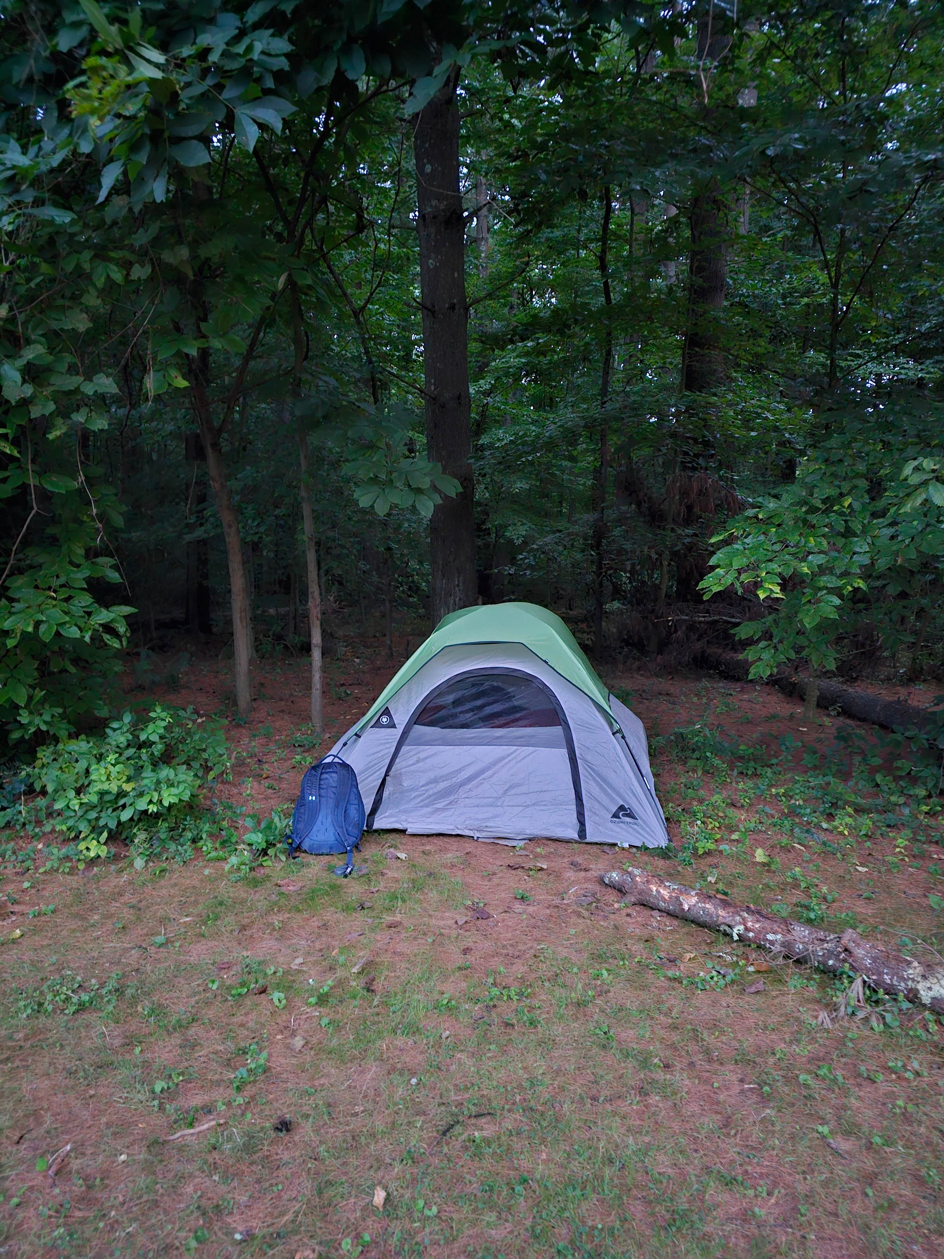 Camper-submitted photo at Tappan Lake Park Campground near Carrollton, OH