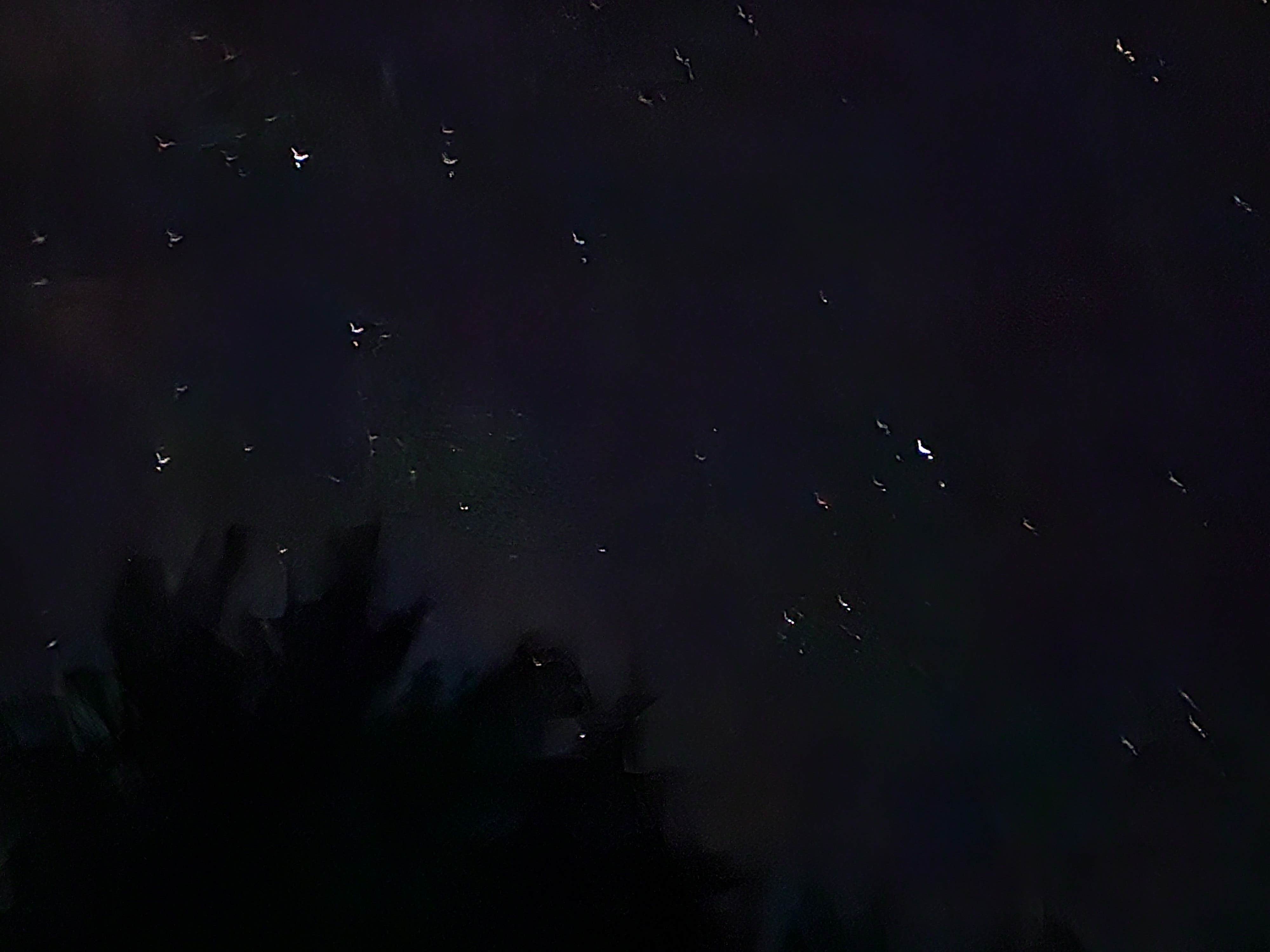 Camper-submitted photo at Tappan Lake Park Campground near Carrollton, OH