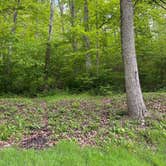 Review photo of Tar Hollow State Park Campground by Tara R., July 25, 2026
