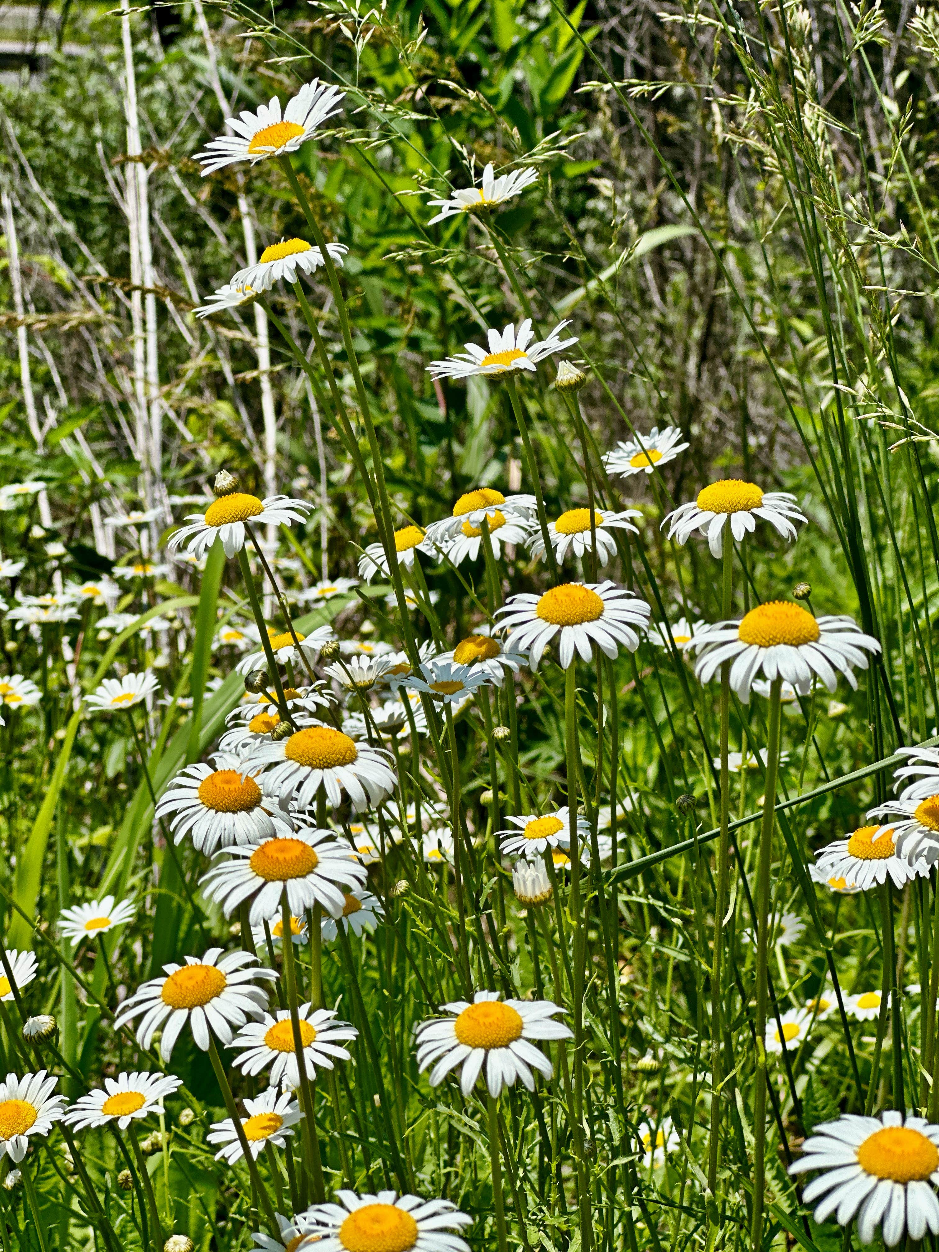 Camping near Krodel Park Campground: Timbre Ridge Lake, Patriot, Ohio